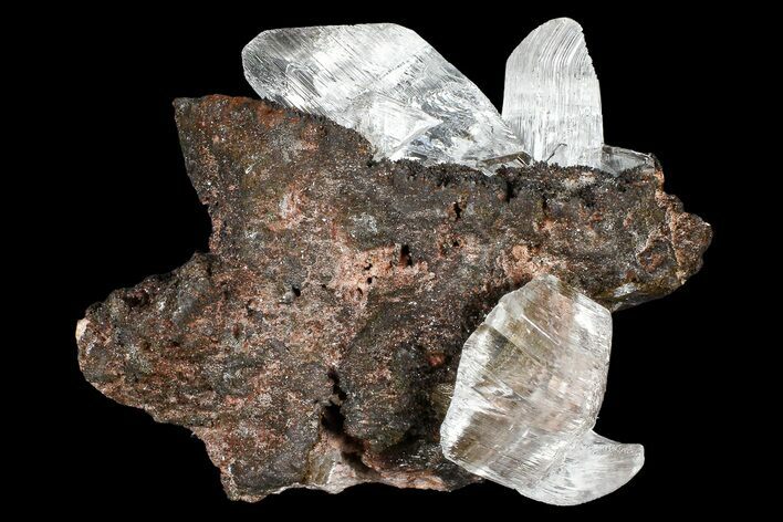 Glassy Selenite Crystals on Matrix - Naica Mine, Mexico #372177